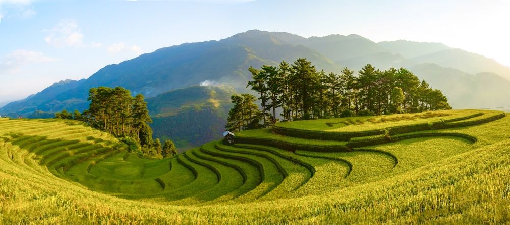 Photograph by Thi Quynh Nga Pham