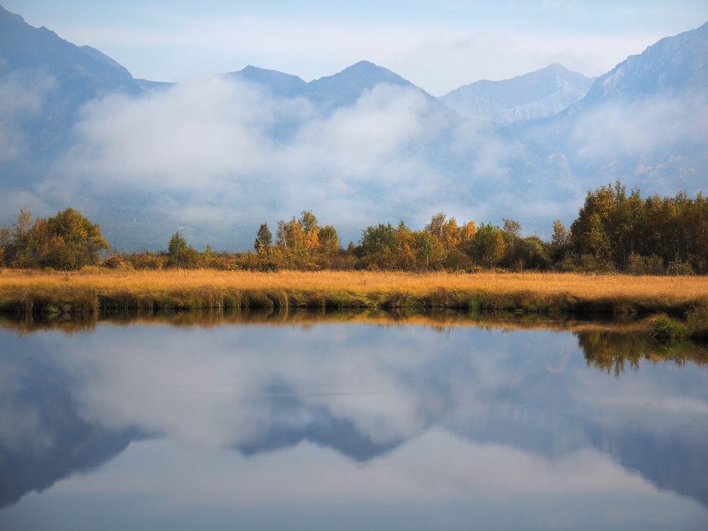 Photograph by Александр Попов