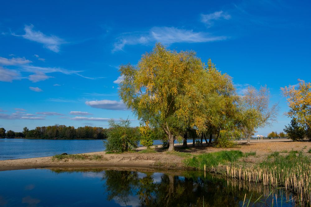 Photograph by Владимир Рогулькин