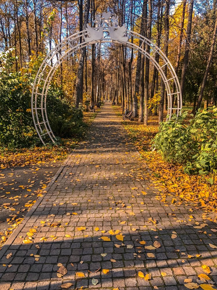 Photograph by Евгения Д