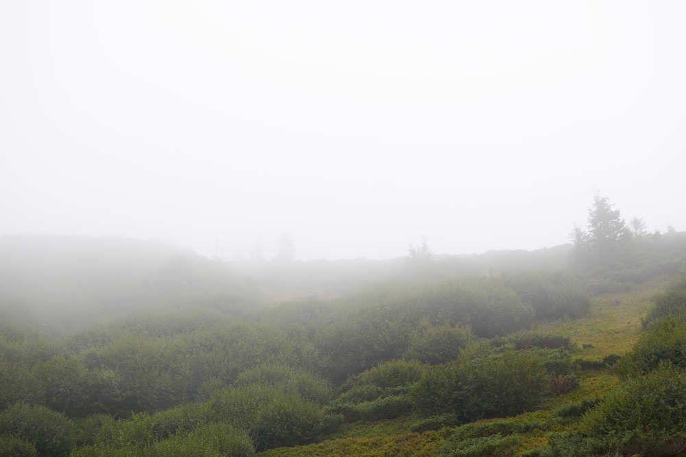 Photograph by Эн Скляров