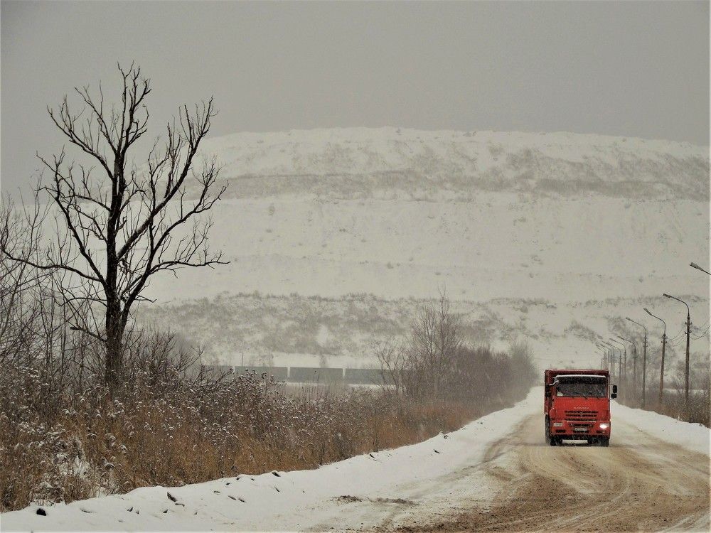 Фотография автора IRINA FILIPPOVA
