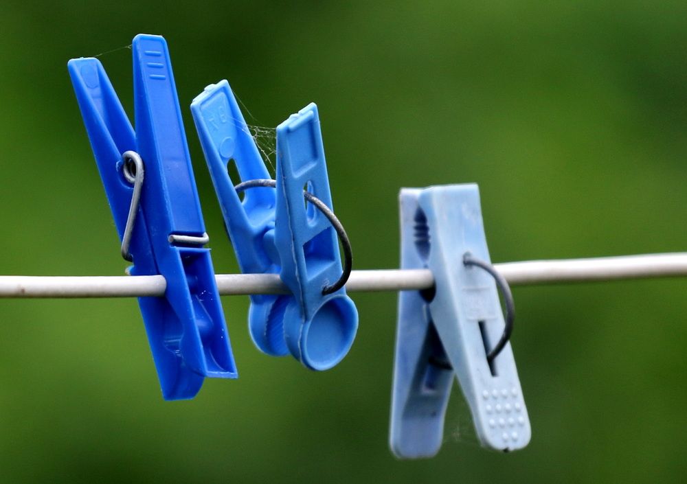 Фотография автора Елена Колосова