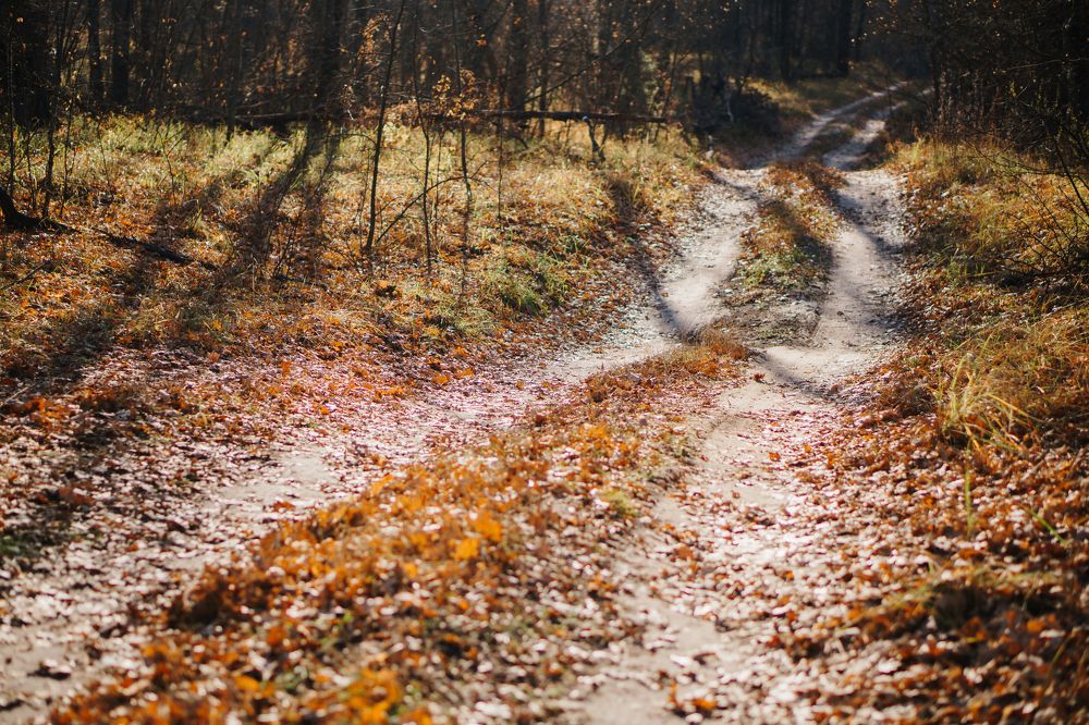 Photograph by Екатерина Чернова-Груздева