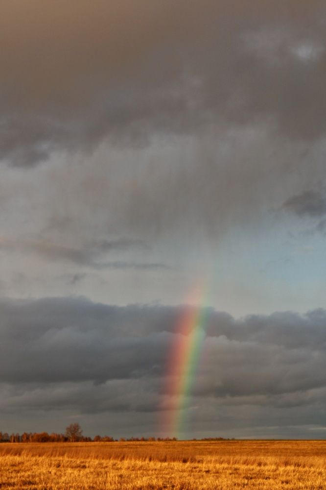 Photograph by Виктория Старовойтова