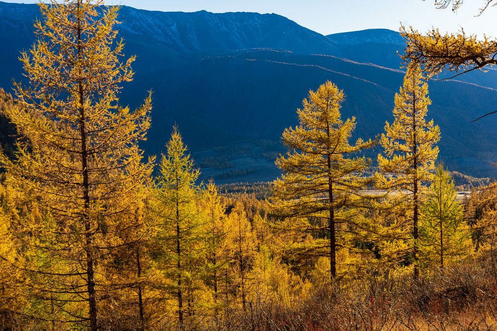 Photograph by ОЛЬГА