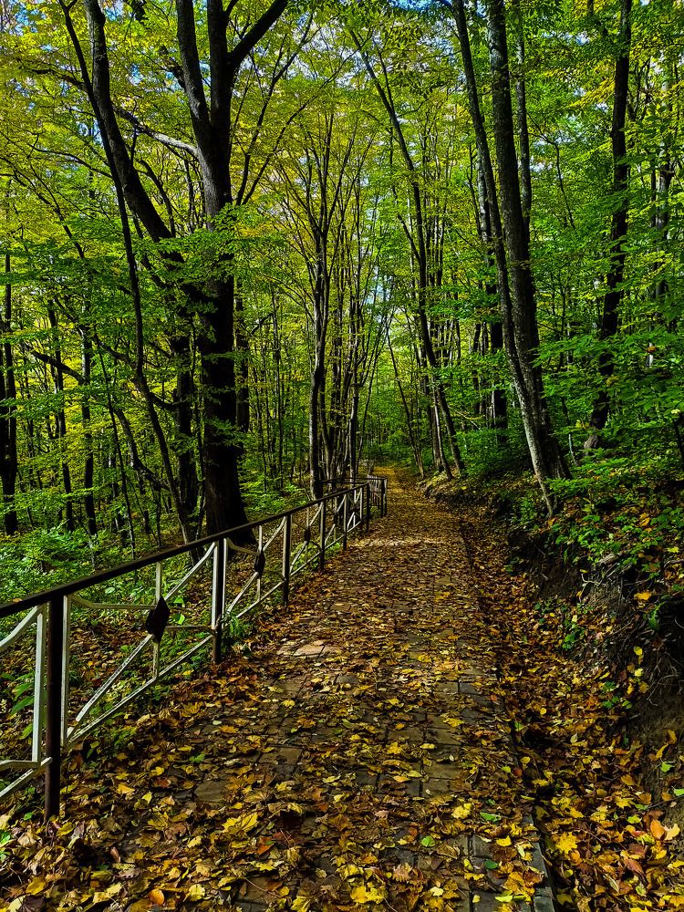 Photograph by Олег Башкуров