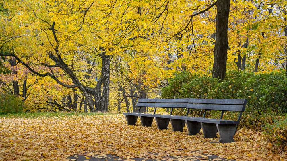 Photograph by Valdis Serzhans