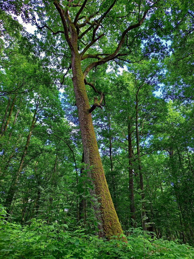 Photograph by Viktoria Vavilkina