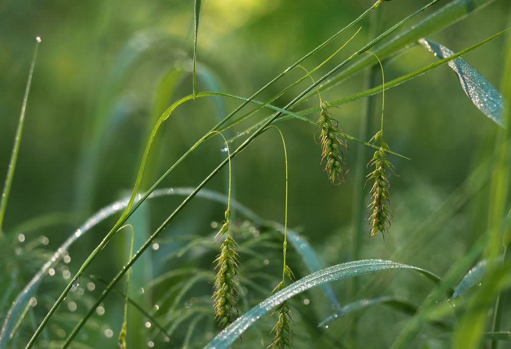 Photograph by Александр Попов