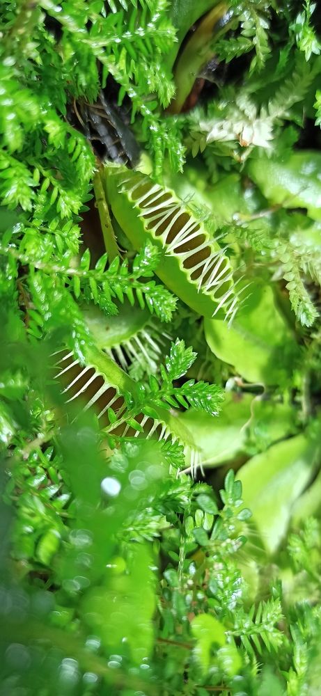 Photograph by Юлия Нечаева