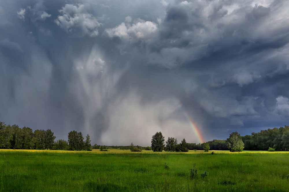 Photograph by Sokolova Tatiana