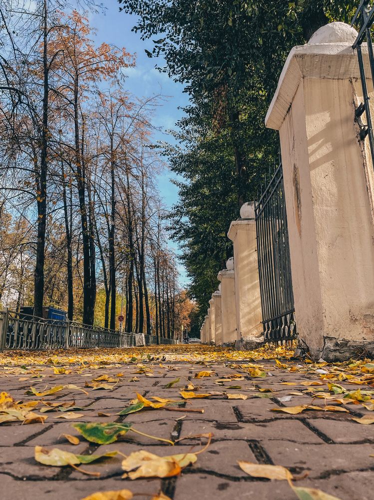 Photograph by Ксения Григорьева