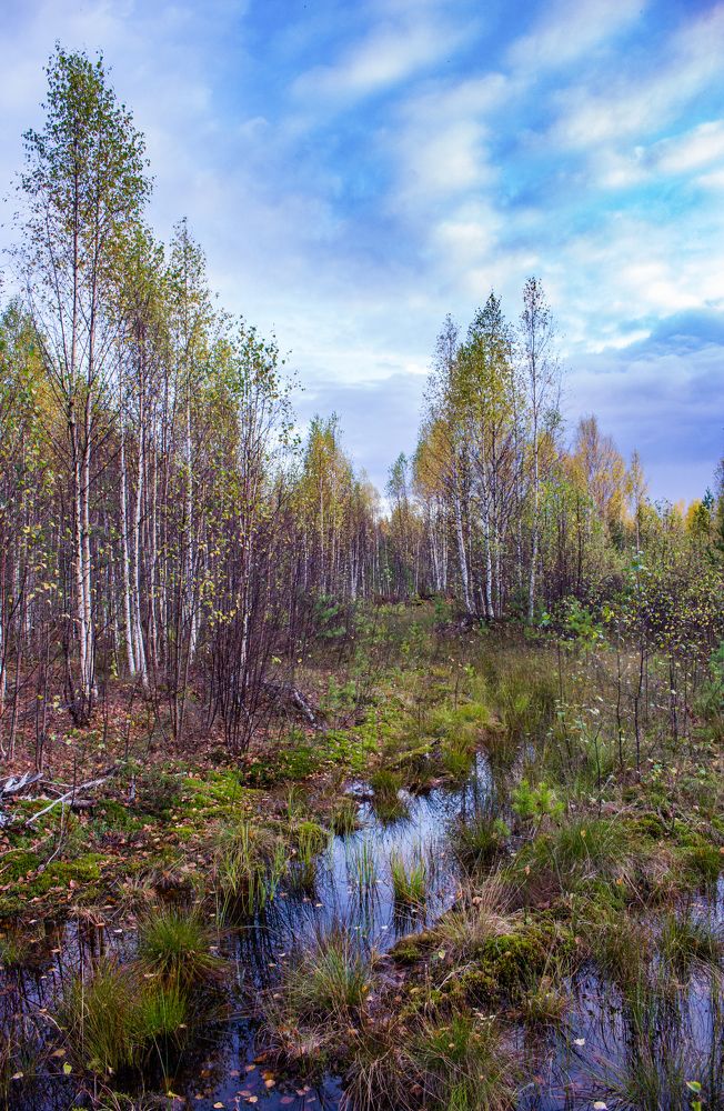 Photograph by Виктор Перестукин