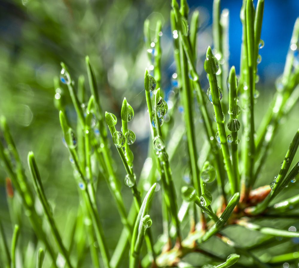 Photograph by Руслан Ибрагимов