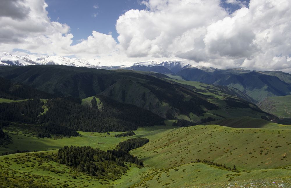 Photograph by Лия Яковлева