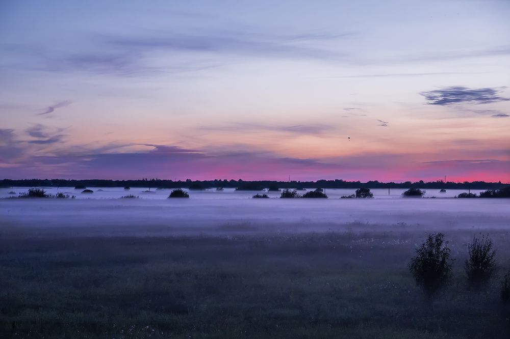 Photograph by Елена Белькова