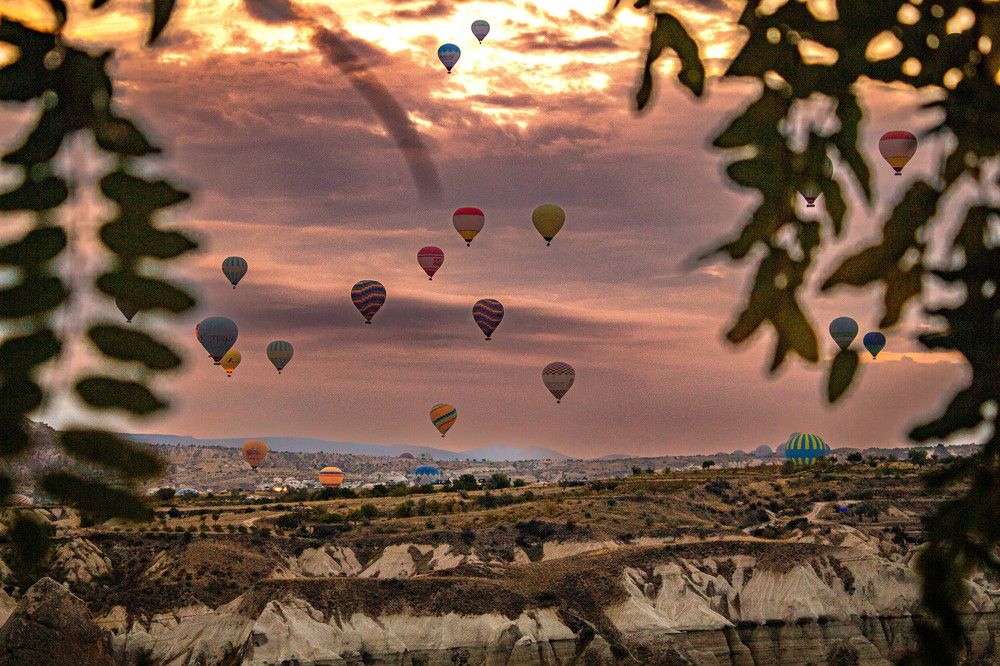 Photograph by Muharrem Bayrmoğlu