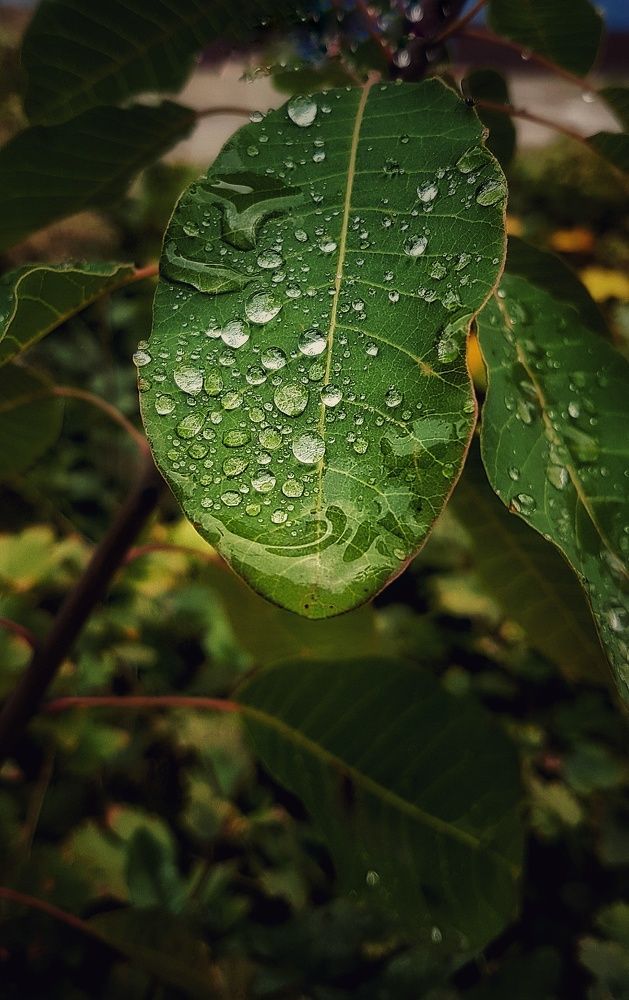 Photograph by Инга Сабанова