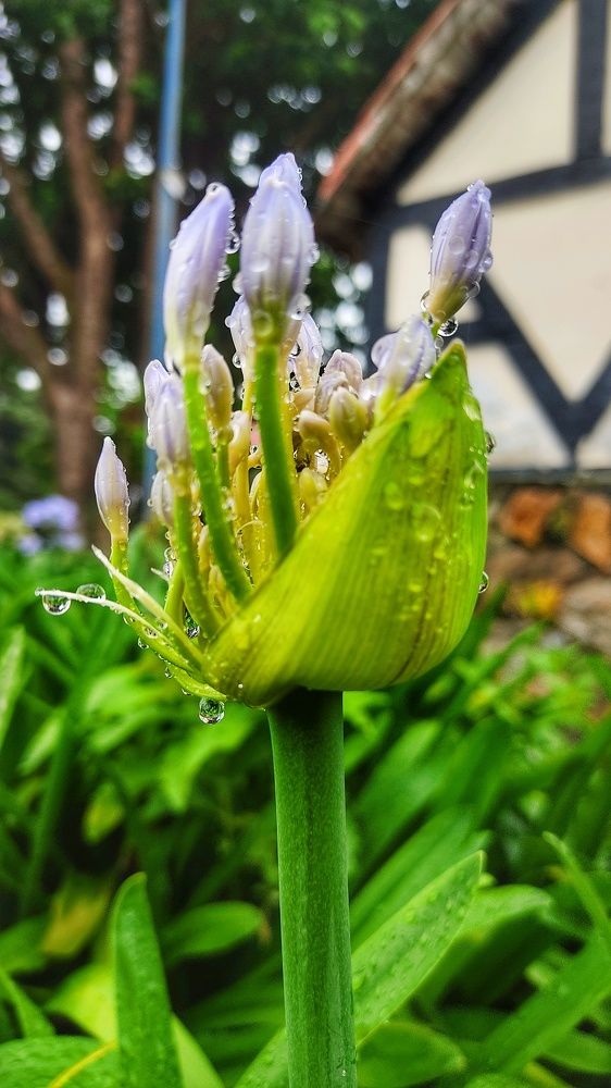 Photograph by nileydi Colmenarez