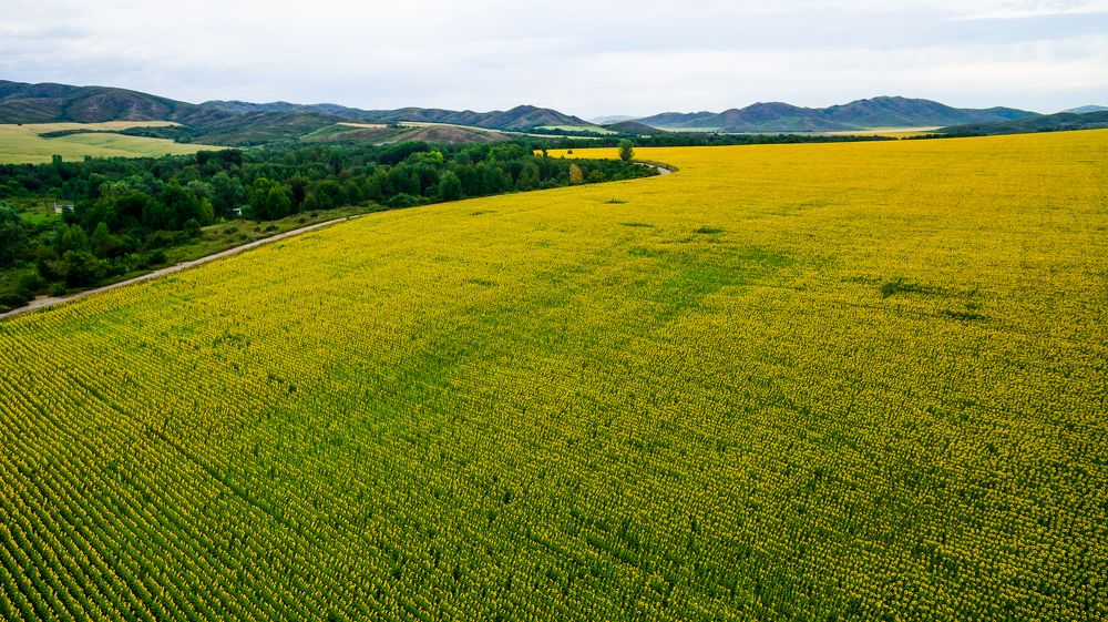 Photograph by Кожиков Данияр