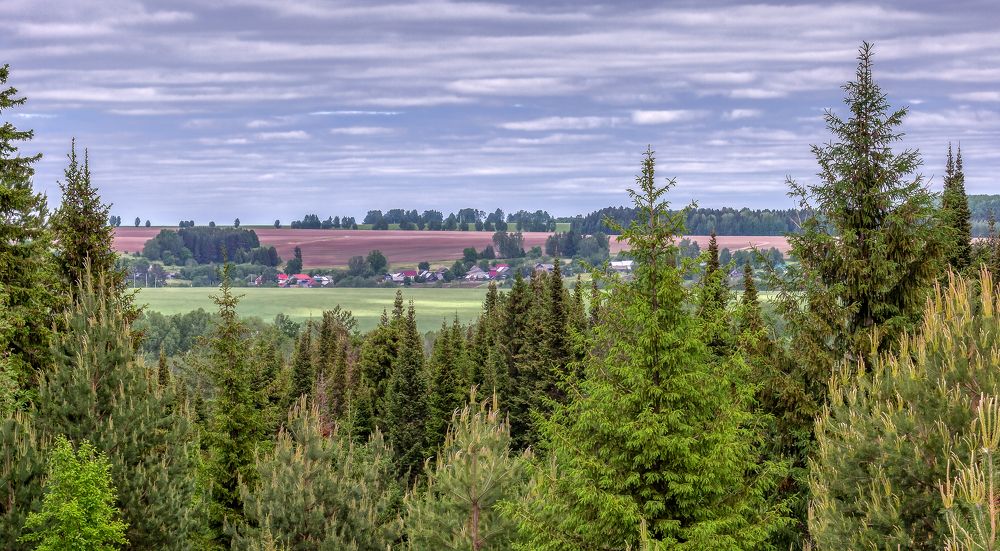 Дали марийские.