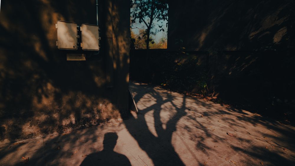 Photograph by Harsh Patel