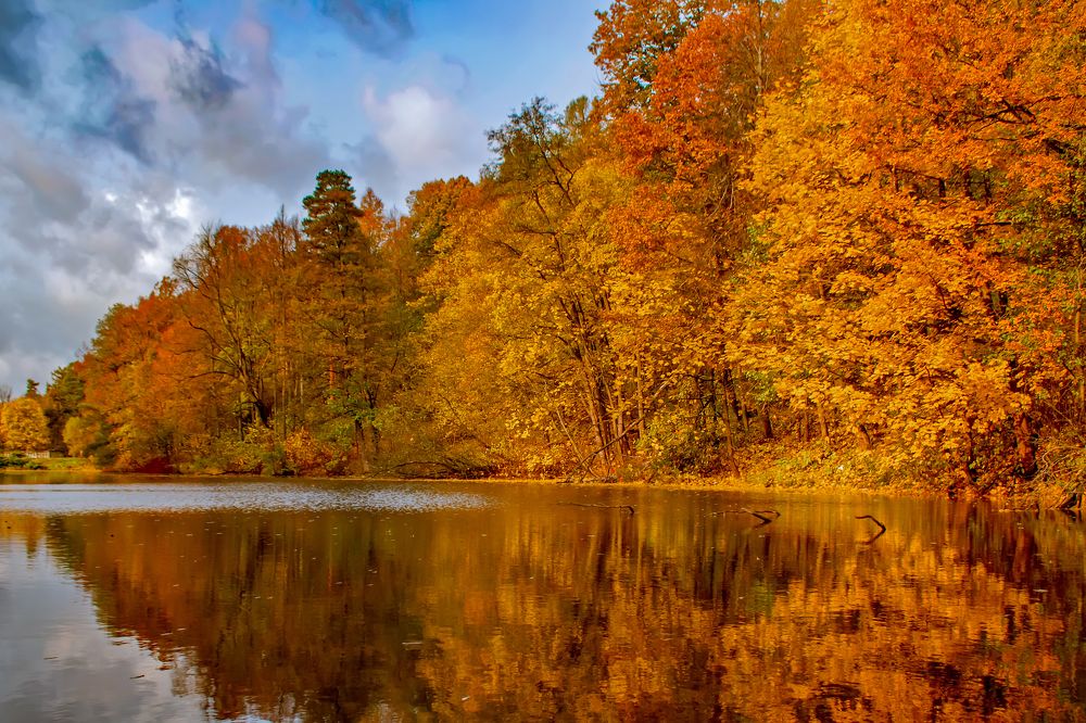The whole autumn palette/ Вся палитра осени