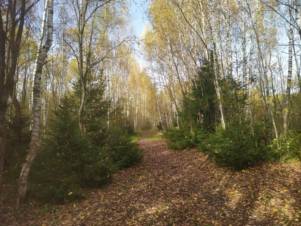 Photograph by Елена Смирнова