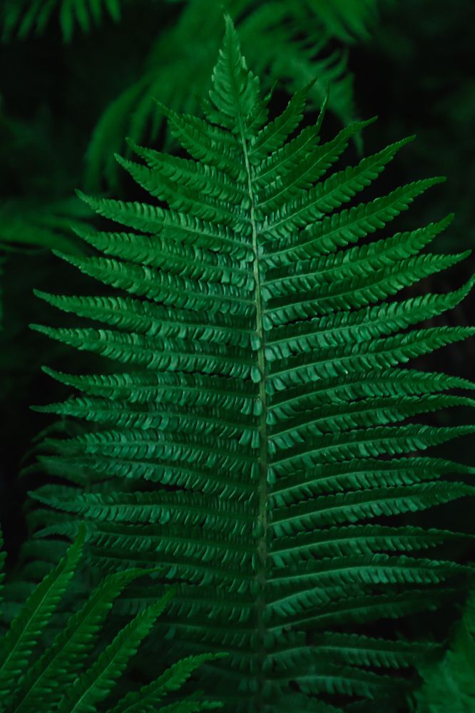 Photograph by Жанна