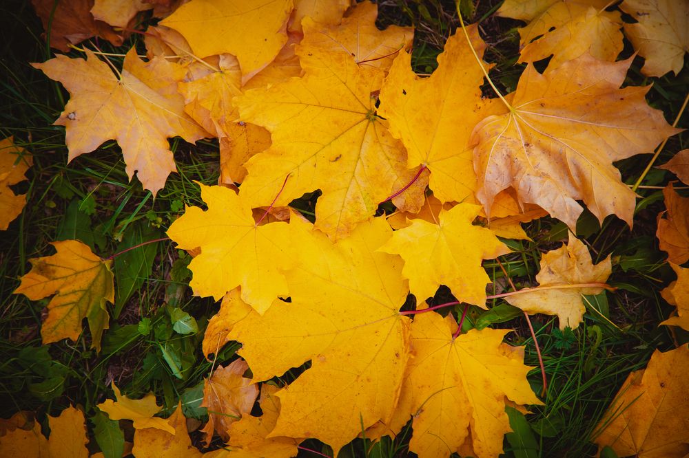 Photograph by Ирина Панкова
