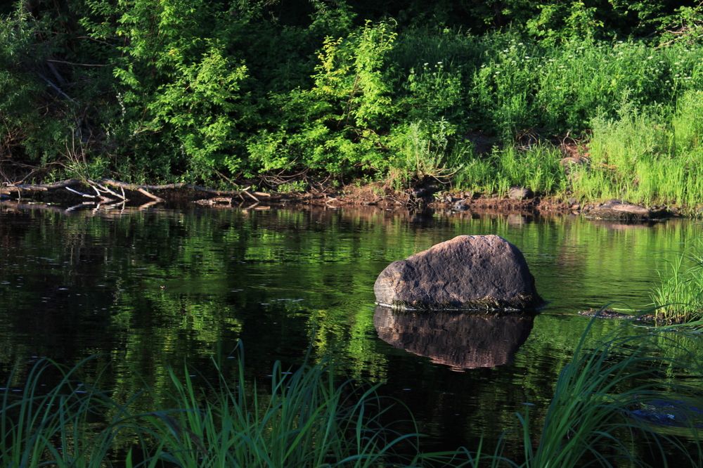Photograph by Вероника Ратникова