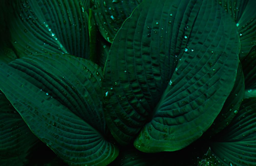 Photograph by Жанна