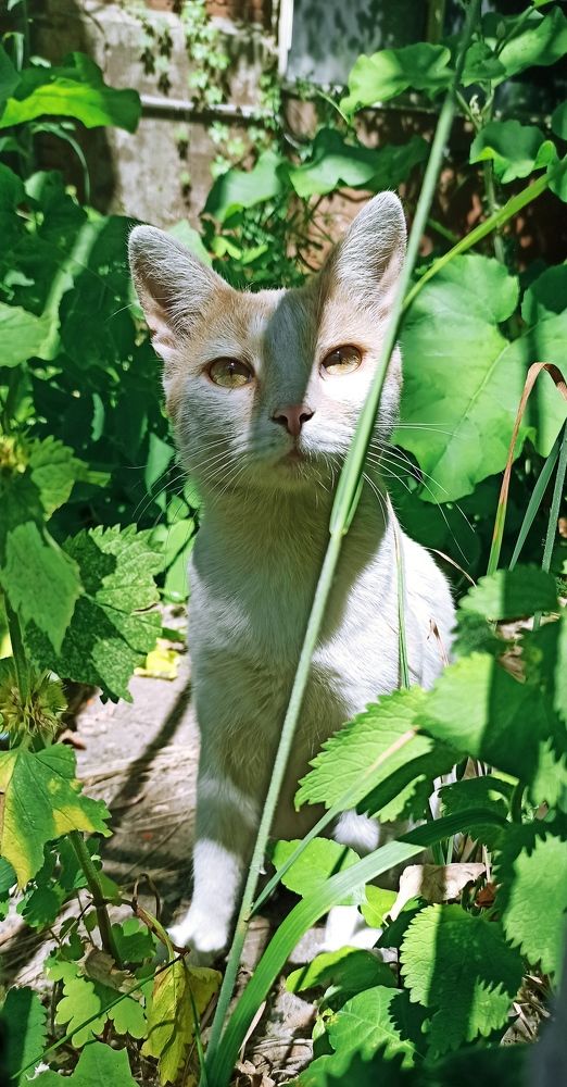 Photograph by Юлия Нечаева