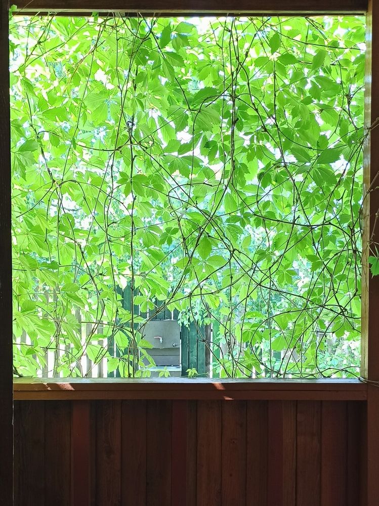 Photograph by Юлия Нечаева