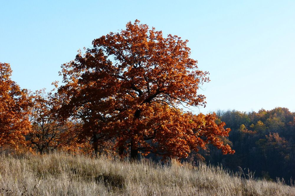 Photograph by Александр Кизим