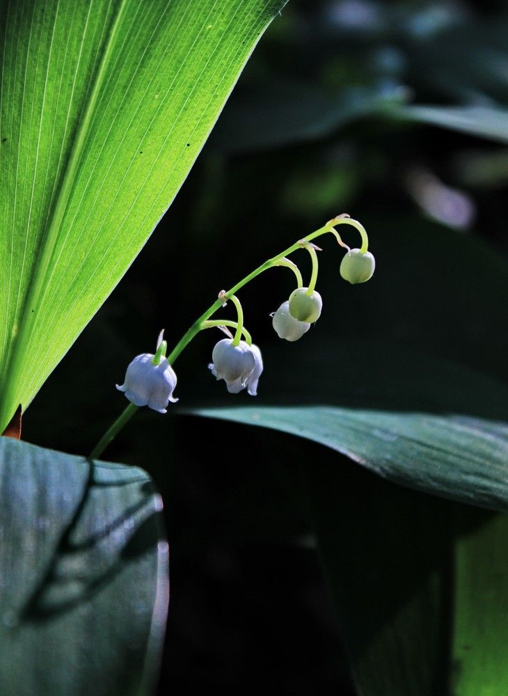 Photograph by Вероника Ратникова