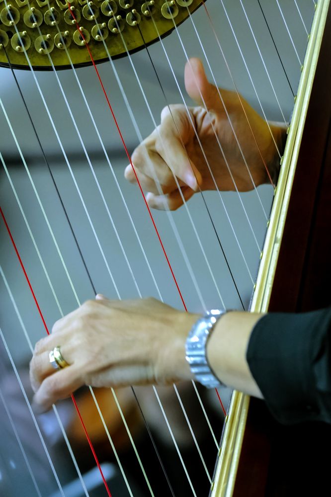 Photograph by Hashem Mohamed