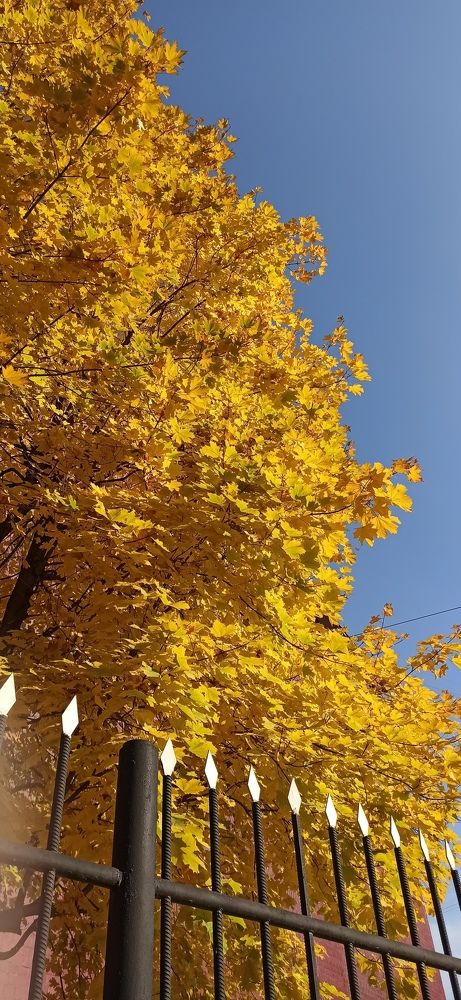 Photograph by Юлия Нечаева