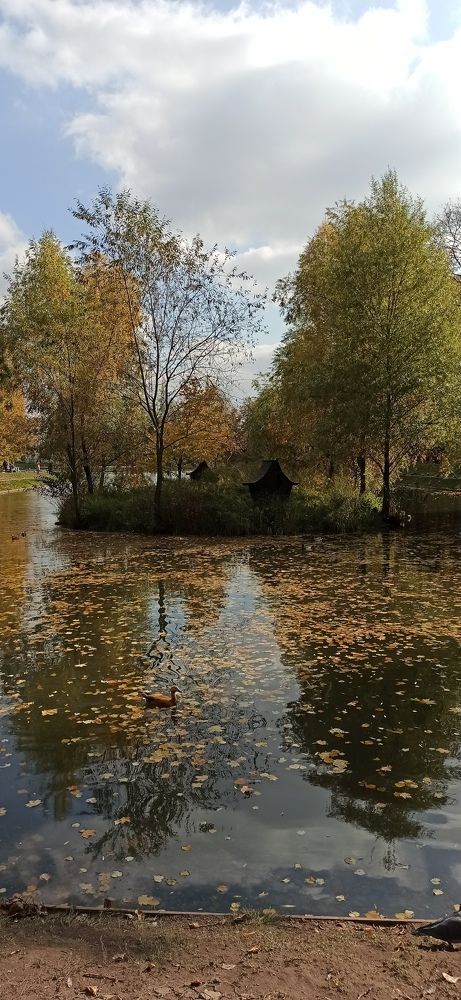 Photograph by Юлия Нечаева