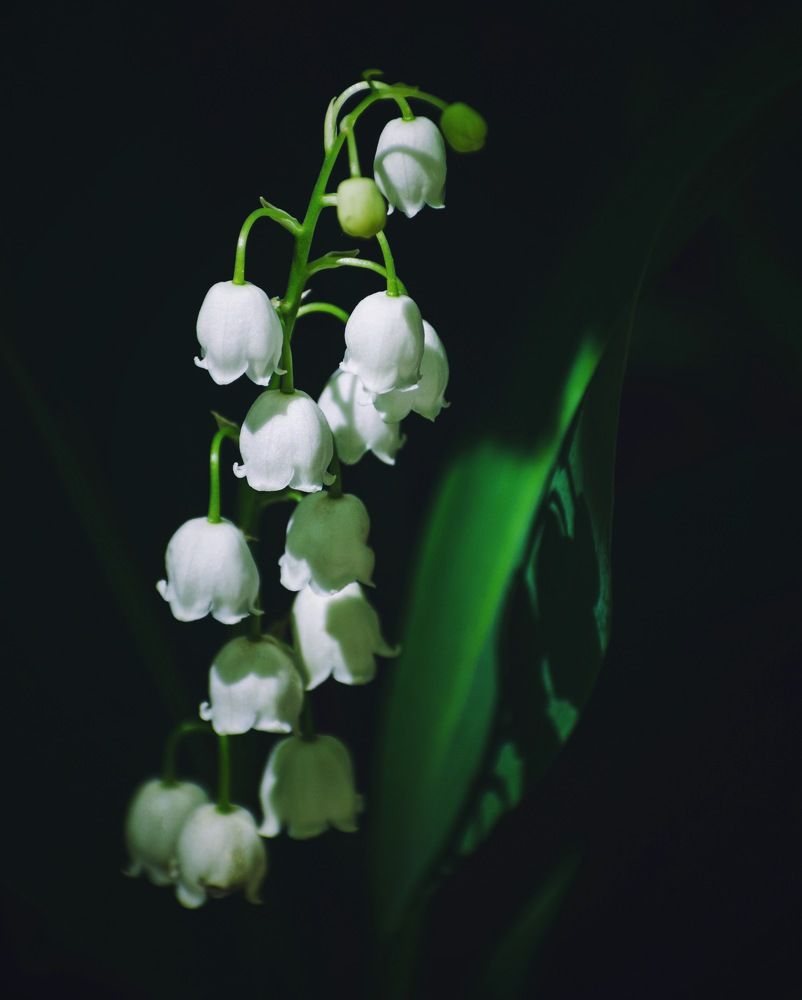 Photograph by Виктория Селютина