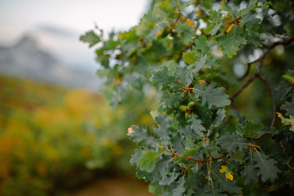 Photograph by Раиса Алексеева