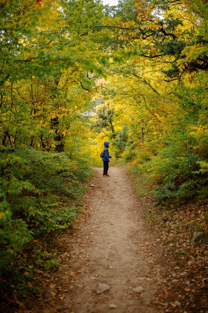 Photograph by Раиса Алексеева