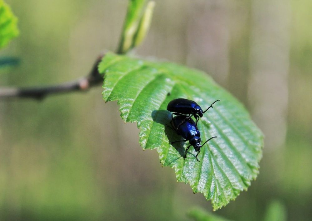 Photograph by Вероника Ратникова