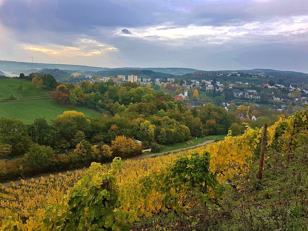 Photograph by Marina Weiland