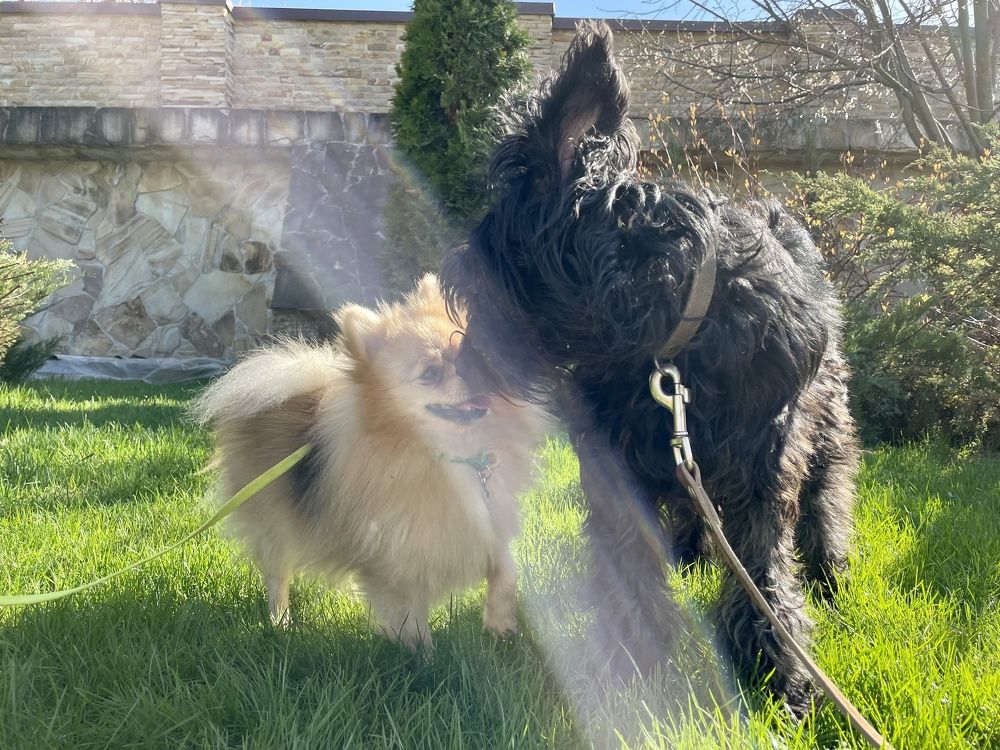 Photograph by Маша