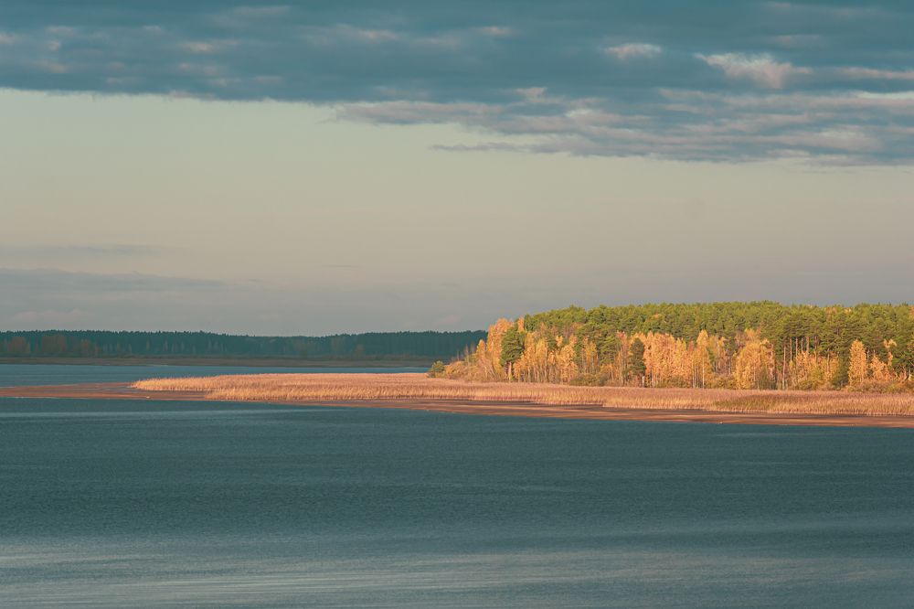 Photograph by Дмитрий Жижин