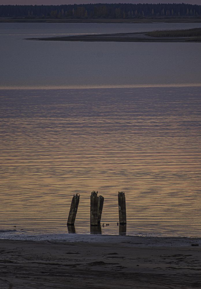 Photograph by Дмитрий Жижин