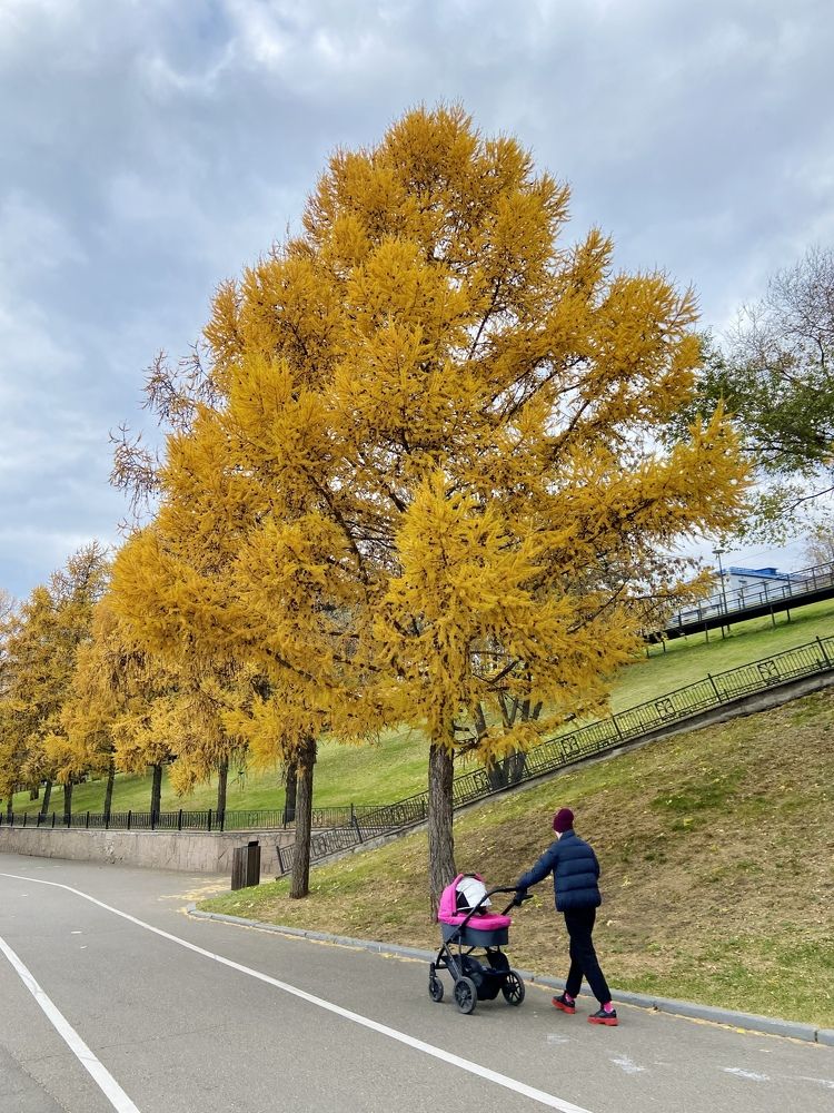 Photograph by Марина Толстопятова