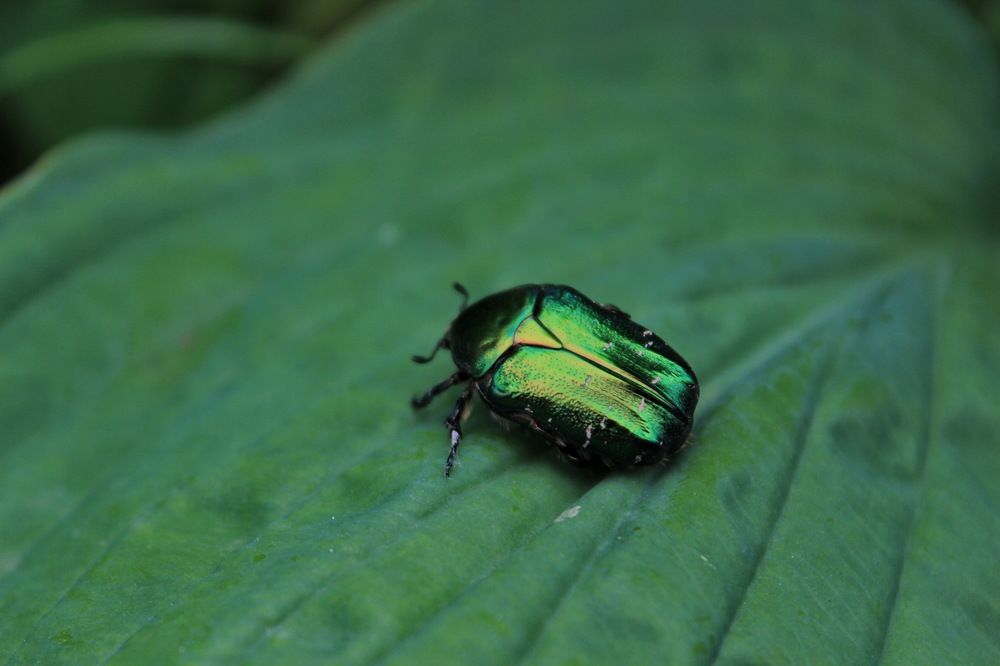 Photograph by Вероника Ратникова